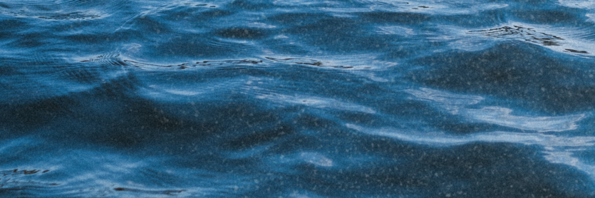 A view of the water from the river