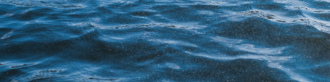 A view of the water from the river